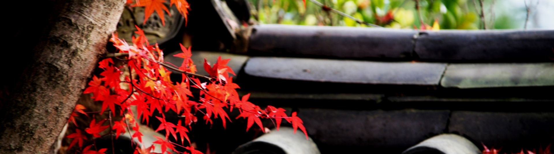 main_top_visual_banner